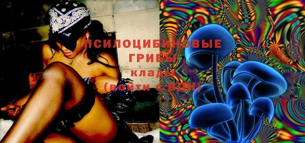 индика Абдулино
