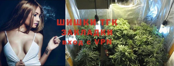 мет Алексин
