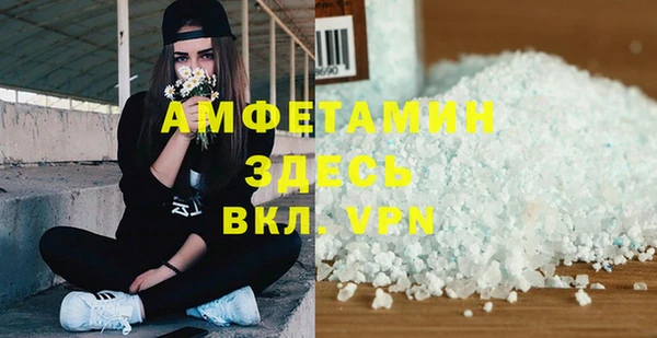 мет Алексин