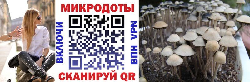 купить наркоту  Усть-Лабинск  Галлюциногенные грибы MAGIC MUSHROOMS 