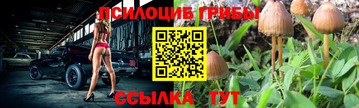 Псилоцибиновые грибы GOLDEN TEACHER Усть-Лабинск